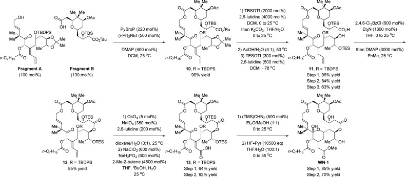 Scheme 3