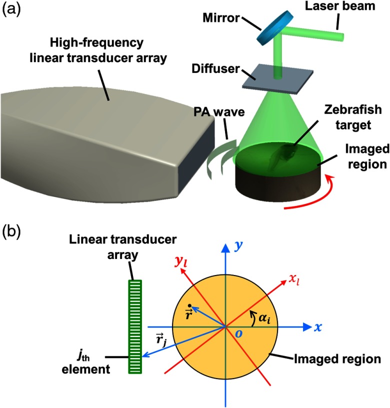 Fig. 1