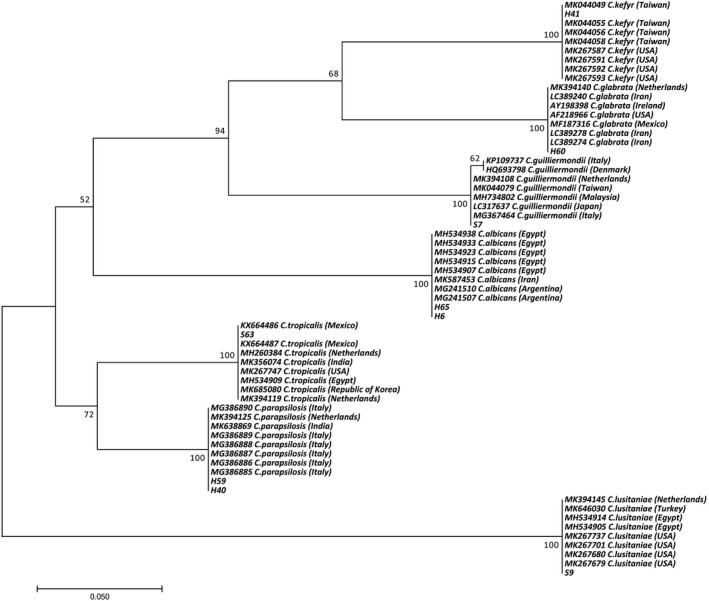 FIGURE 2