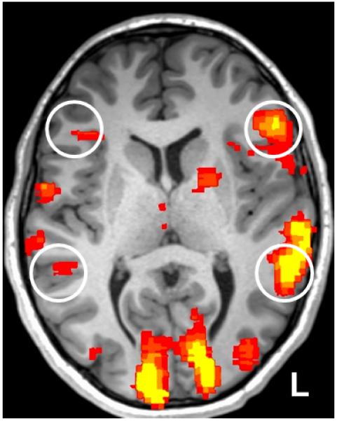 Figure 5