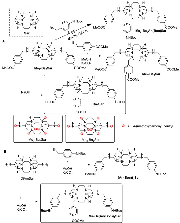 Scheme 1