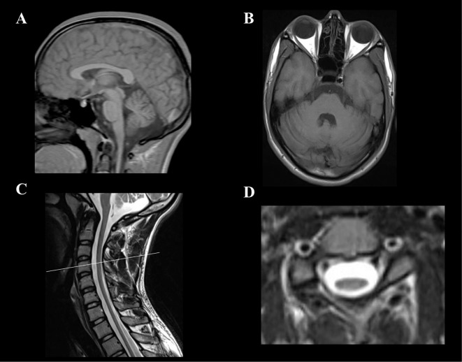 Figure 2.