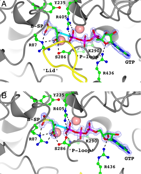 Fig. 3.