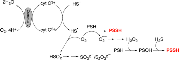 Figure 7.