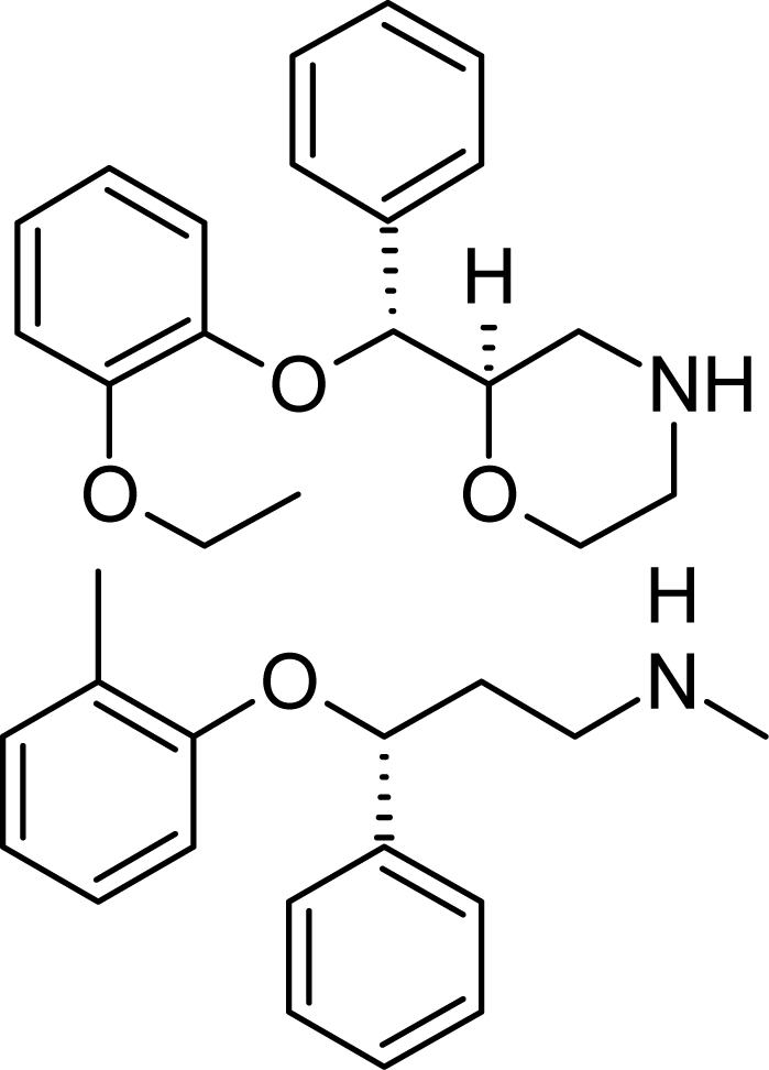 graphic file with name scipharm.2010.78.233i4.jpg