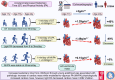 Graphical Abstract