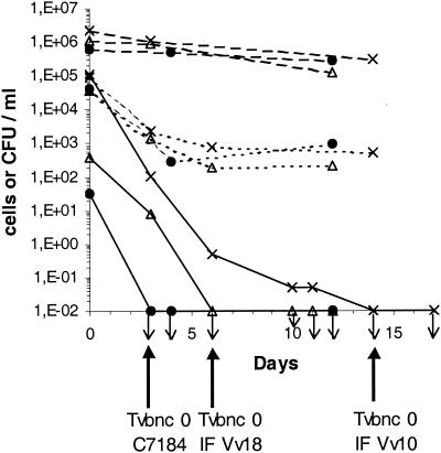 FIG. 1.