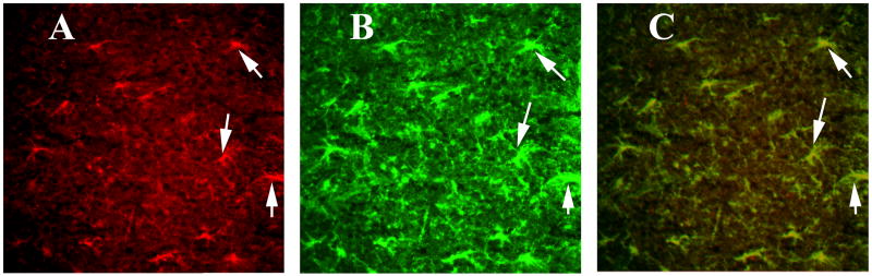 Figure 9