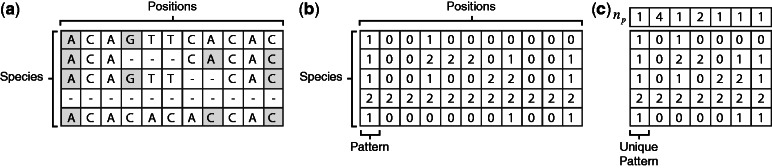 Figure 1.