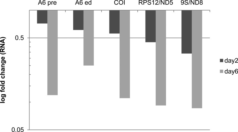 Fig 4