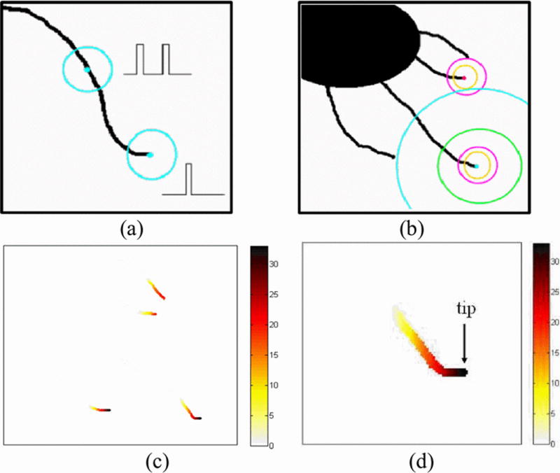 Fig. 4