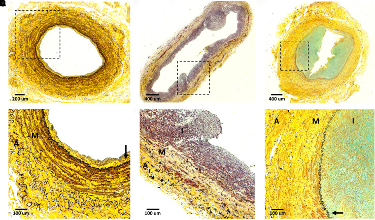 Figure 3.