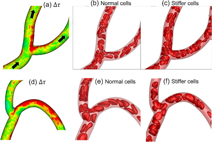 Figure 13