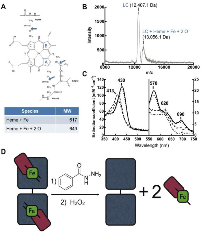 Fig. 7