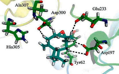 Figure 4