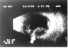 <i>Figure 1</i>