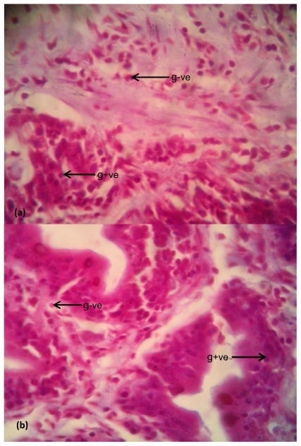 Figure 8