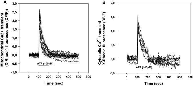 Fig. 1