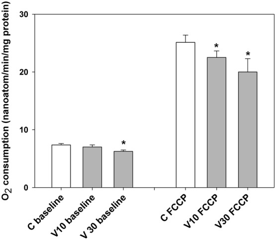 Fig. 4