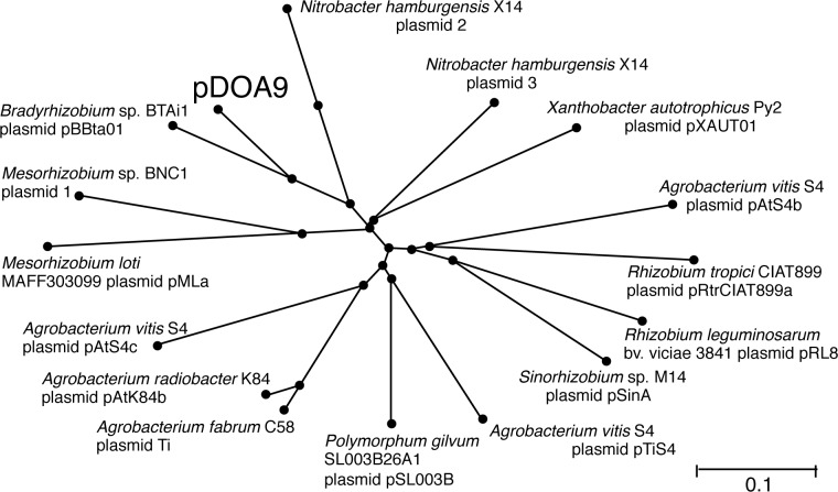 Fig 5