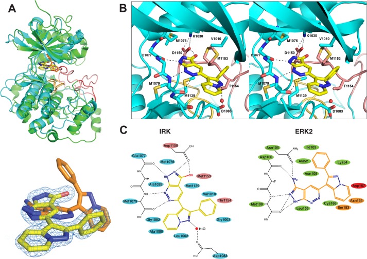 FIGURE 3.