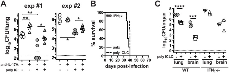 Fig 5