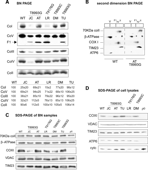 Figure 3.