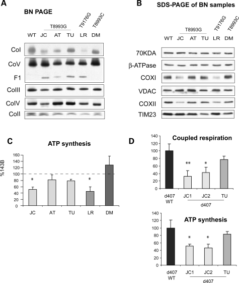 Figure 4.