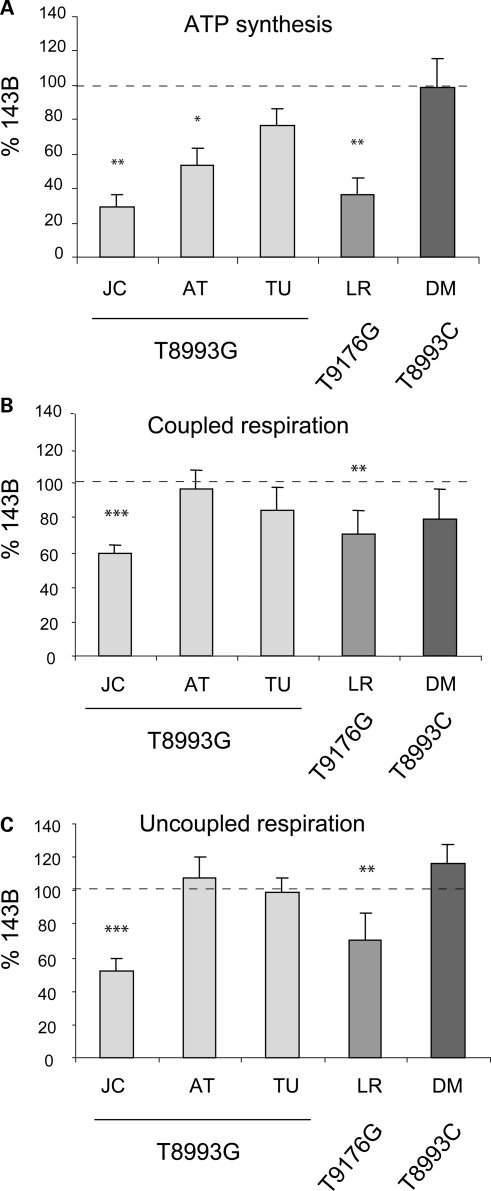 Figure 1.