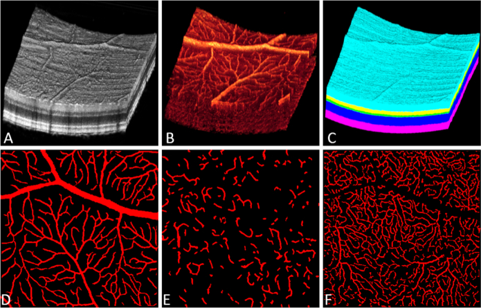 Fig. 3.