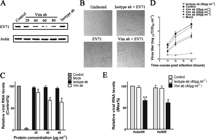 FIG 6