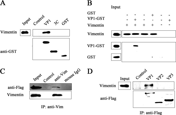 FIG 3