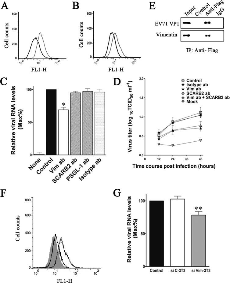 FIG 12