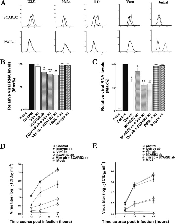 FIG 8