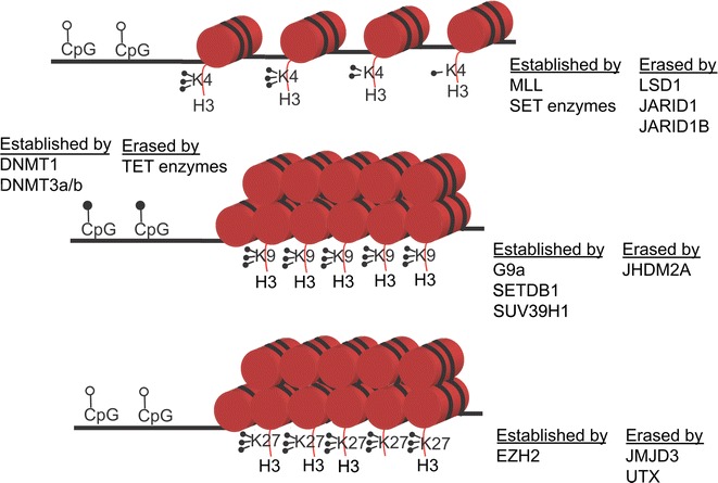 Fig. 1