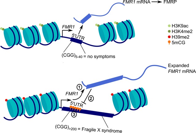 Fig. 3