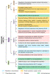 Figure 6: