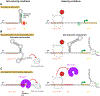 Figure 5: