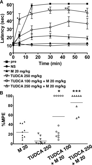 Fig 8