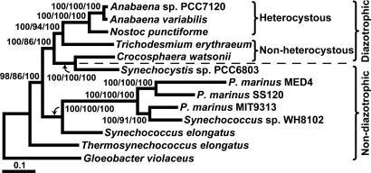 Fig. 5.