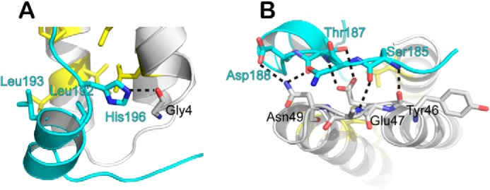 FIGURE 5.