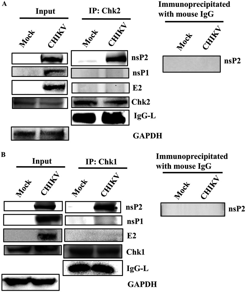 FIG 7