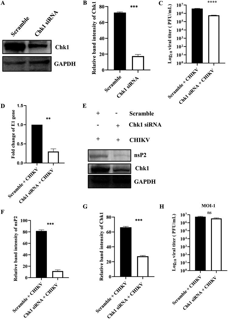 FIG 6