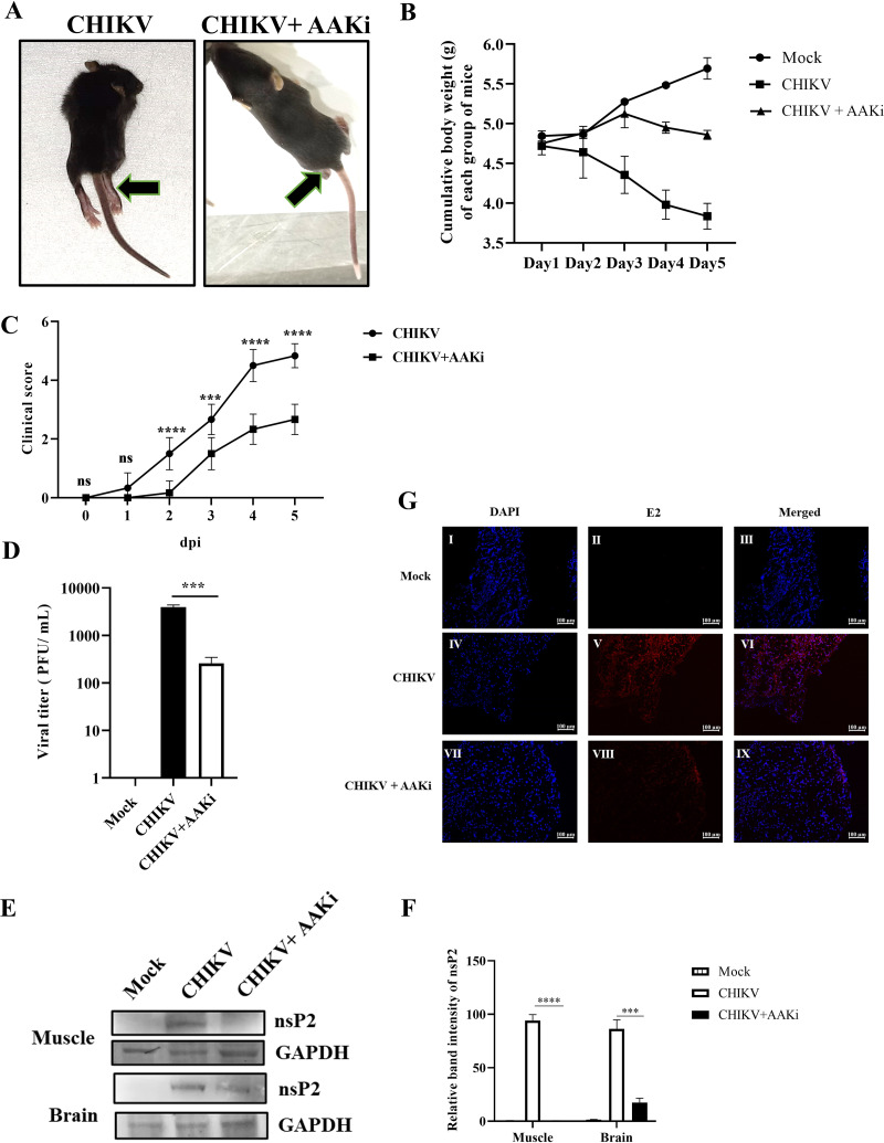 FIG 4