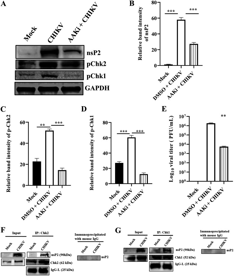 FIG 10