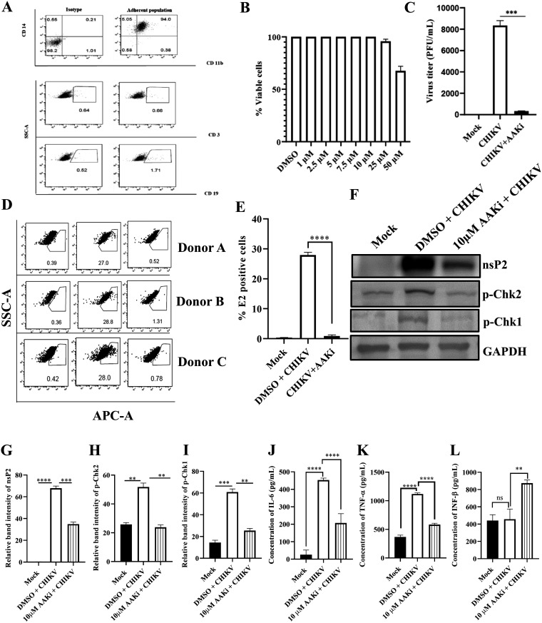 FIG 9