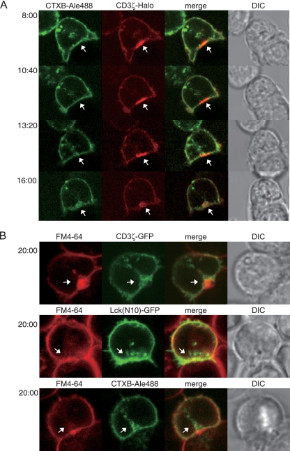 FIG. 4.