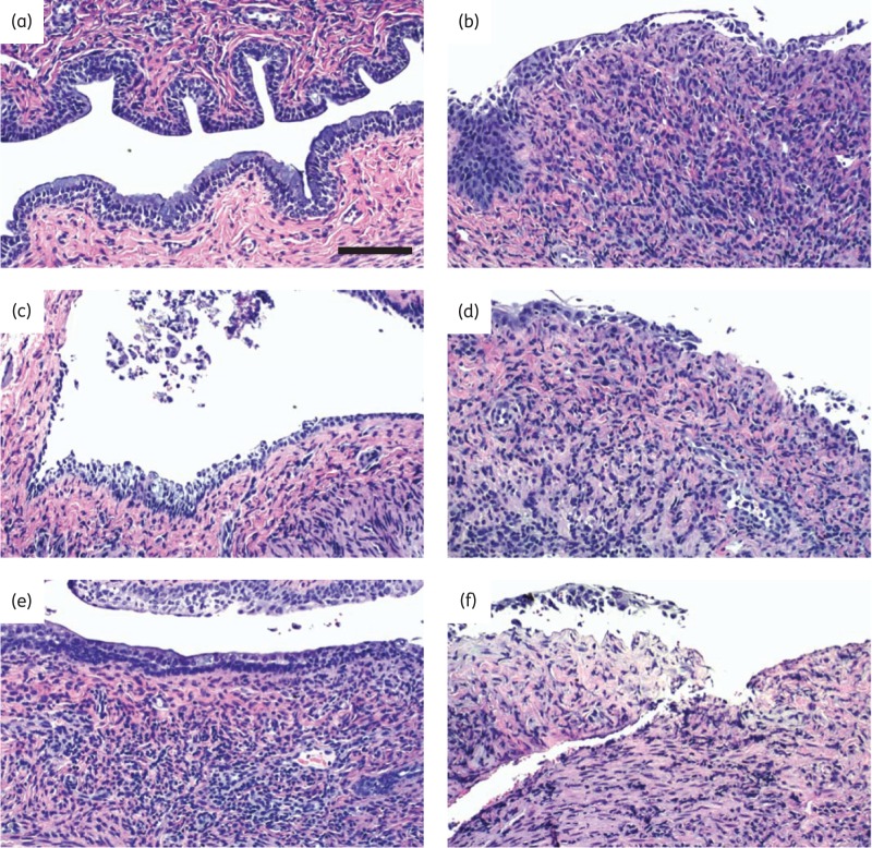 Figure 4.