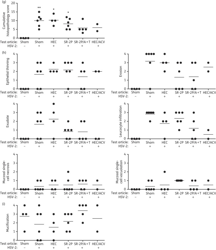 Figure 4.