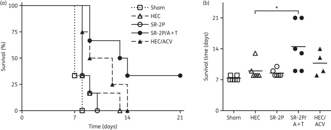 Figure 3.